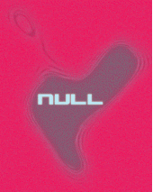 null profile picture