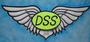 DSS Free Party profile picture