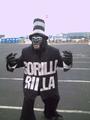 gorilla rillaÂ® profile picture