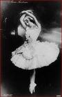 Anna Pavlova profile picture