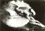 Anna Pavlova profile picture