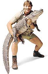 Steve Irwin's Ghost profile picture