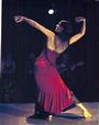 Esencia Flamenca Dance Company profile picture