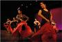 Esencia Flamenca Dance Company profile picture