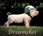 Dreamshot profile picture