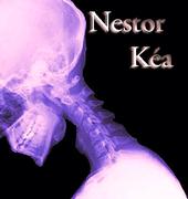 Nestor KÃ©a profile picture