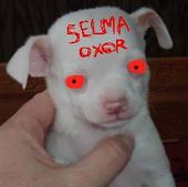 SELMA OXOR profile picture