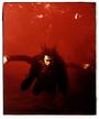 steve gullick photography profile picture