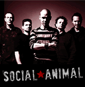 Social Animal profile picture