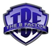 The B Factor profile picture