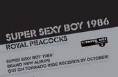 super sexy boy 1986-17/10 live at UNITED CLUB profile picture