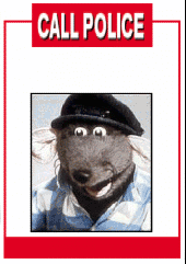 Roland Rat profile picture