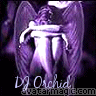 DJ Orchid profile picture