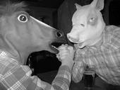 pig & horse profile picture