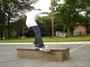 Sweet Impact Skateboards profile picture