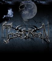 TristMoon profile picture