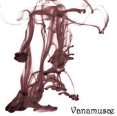 Vanamusae profile picture