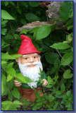 THE LAWN GNOME profile picture