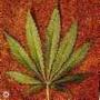 Hempguru profile picture