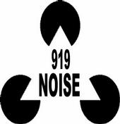 919noise profile picture