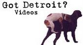 gotdetroit.com profile picture