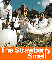 The Strawberry Smell profile picture