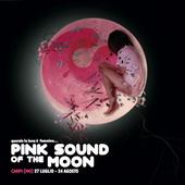 Pink sound of the moon profile picture