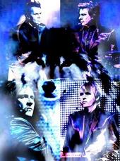 DURAN DURAN WOLF PACK ~ Over 2,460 Members! profile picture