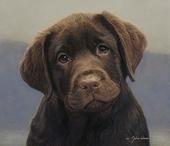 is like way over it !! too bad soo sad profile picture